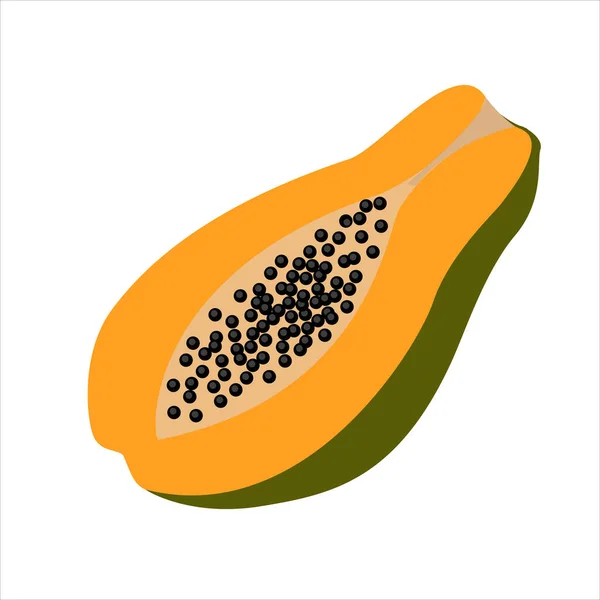 Fruit papaya isolated on white background — стоковый вектор