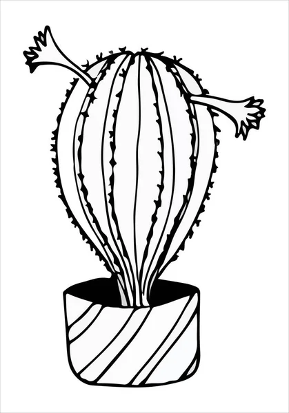 Karalama çizimi kaktüsü beyaza siyah