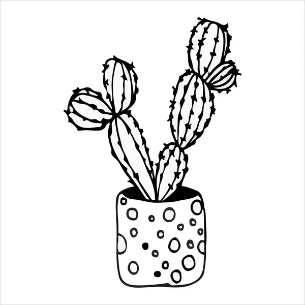 Doodle ilustración cactus negro sobre blanco — Vector de stock