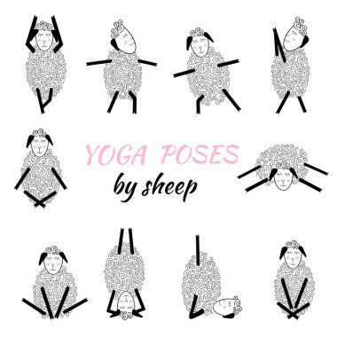 doodle illustrationthe sheep doing, health care