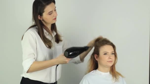 Στυλίστρια στεγνώνει στεγνωτήρα μαλλιών νεαρή κοπέλα — Αρχείο Βίντεο