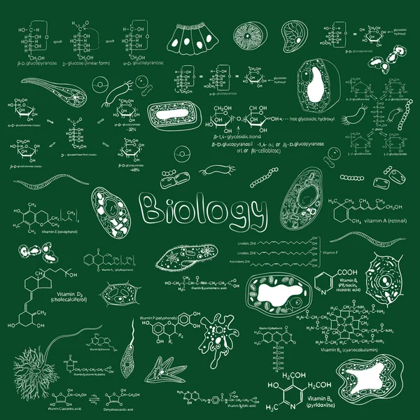 Biologie Terug Naar School School Biologische Formules Illustratie Vitaminen Formules — Stockvector