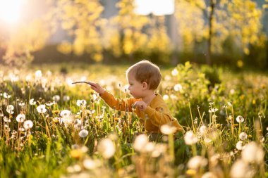 Küçük bir çocuk baharda bir çiçek tarlasında karahindiba içinde oynar. Mutlu çocukluk kavramı