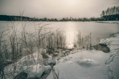 Kışın gölü olan bir manzara. Uzun otları olan karlı bir sahil. Güneş gölün buzuna yansıyor. doğanın bej rengi yumuşak fotoğrafı