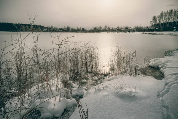 Landschaft Mit Einem See Winter Schneebedecktes Ufer Mit Hohem Gras — Stockfoto