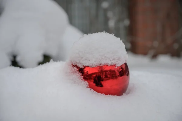 雪の中の赤いボール 接近中だ ガラス玉に雪のキャップ クリスマスツリーのおもちゃの周りの白いふわふわの雪 — ストック写真
