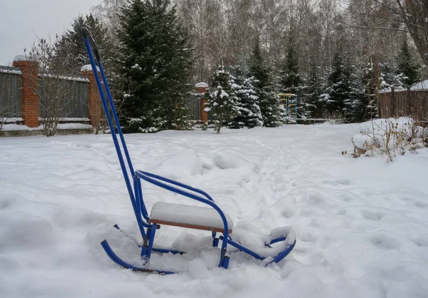 Έλκηθρα Στον Χειμερινό Κήπο Λευκό Αφράτο Χιόνι Κάλυψε Έδαφος Θάμνους — Φωτογραφία Αρχείου