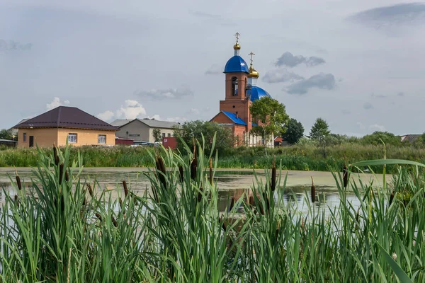 湖の上の教会 夏の日に葦が生い茂る池 その後ろには青いドームのある赤レンガの家と古い村の教会があります 灰色の空新鮮な緑と木 — ストック写真