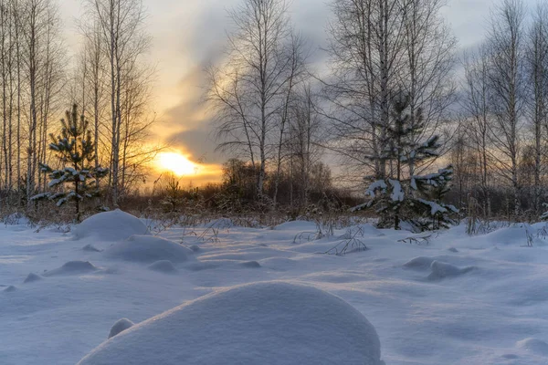 Zonsondergang Het Bos Besneeuwde Heuvelachtige Glade Het Avondbos Wordt Verlicht — Stockfoto