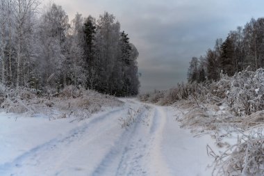 Ormanda kış akşamı. Uzun huş dalları ve köknar ağaçları buzla kaplıdır. Yerde bembeyaz kar var. Günbatımı gökyüzünü sarıya-maviye boyadı. Ormanda uyum ve sessizlik