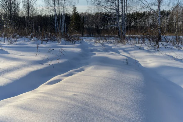 Kış ormanı Önde bir orman yolu var, derin beyaz karlarla kaplı, virajı dönüyor. Karın gevşek ve berrak dokusu görülebilir. Ormanda dondurucu ve güneşli bir gün. Yürüyüş