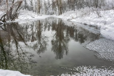 Nehir ve ormanın olduğu kış manzarası dondurucu suya yansıyor. Bulutlu bir kış günü. Orta Urallar 'da çekilen loş bir fotoğraf, Rusya. Sessizlik, düşünce ve uyum karlı bir doğada.