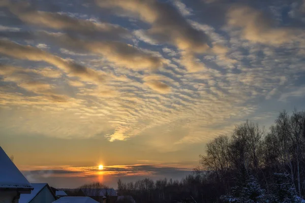 Sunrise over the village in the early morning. A beautiful sky with wavy clouds in the form of a grater, tinted yellow-orange in the rays of the sun. Trees and roofs of houses under it in winter