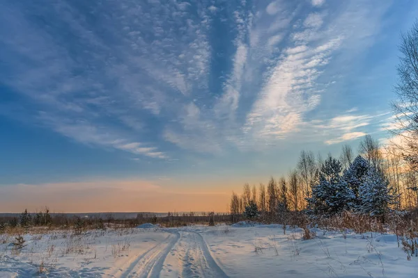 Winterlandschaft Mit Kiefern Straße Schnee Und Zirrusweißen Wolken Mit Sonnenuntergangsfarben — Stockfoto