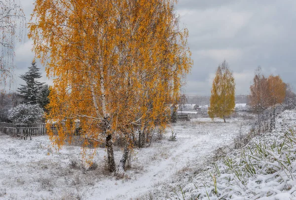 Autumn Landscape First Snow Yellow Leaves Green Grass Yet Fallen — Stock Photo, Image