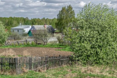 Bahar kırsal arazisi. Tepeden köye bir manzara sebze bahçeleri ve çiçek açan kiraz ağacı olan evler. Gri bulutlar yerin üzerinde alçaktan süzülür ve çimenler yeşile döner. Rusya Ural 