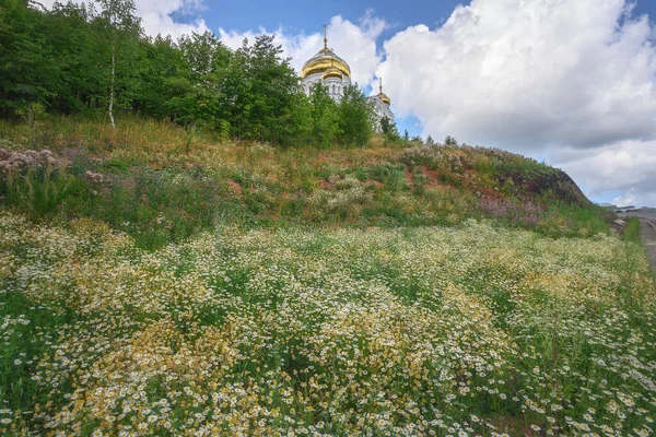 Ein Hoher Berg Dessen Hänge Mit Einem Teppich Aus Feldmargeriten — Stockfoto