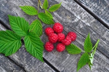 Yapraklı bir avuç ahududu eski bir ahşap masada yatıyor. Yukarıdan yakın çekim. Bahçe ahududu çalılıklardan toplanır. Olgun böğürtlen kokusu. Ahududu hasadı. 