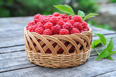 Olgun ahududular hasır sepetin içinde, yakın planda bir yaz gününde ahşap bir masada. Çalılıklardan taze ahududu. Olgun böğürtlen kokusu. Ahududu hasadı. Yeşil kabartmalı dallar