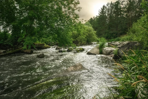 Scene River Bank Turbulent Flow Water Stones Summer Sunny Evening — Stock Photo, Image