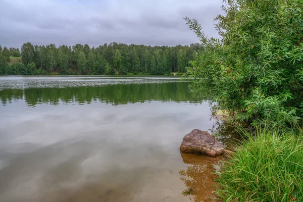 Letní Krajina Břehu Lesního Jezera Oblačného Dne Popředí Mezi Keři — Stock fotografie