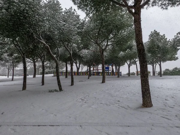 Nieve Parque Madrid Enero 2021 — Foto de Stock