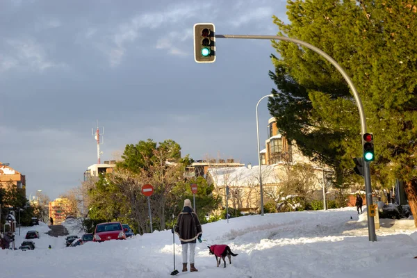 Mujer Con Perro Paseando Nieve — Foto de Stock