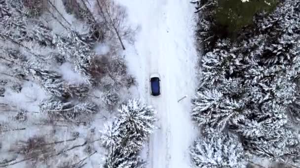 Вид Повітря Синій Автомобіль Їде Засніженій Дорозі Лісі — стокове відео