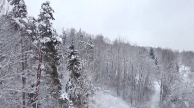 Kışın karla kaplı ağaçların üzerinden İHA 'dan Gözcü Kulesi' ne görüntü