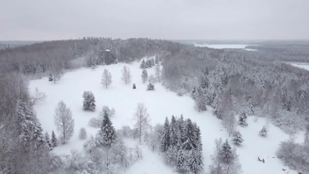 Amazing View Watchtower Snowy Winter Day Snow Covered Trees Forest — Stock Video