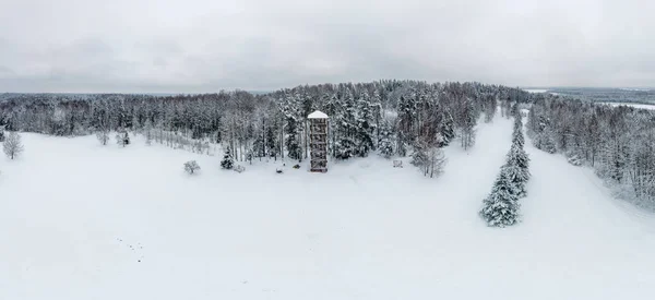 Aero Panorama Watchtower Winter Foggy Day Nature Park Numernes Valnis — Stock Photo, Image