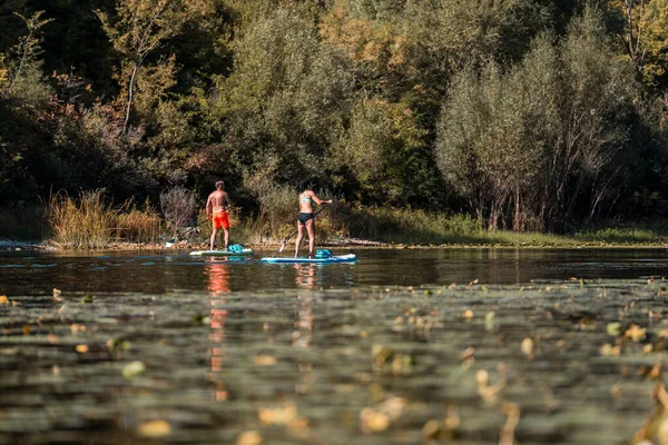 Młoda Sportowa Para Sup Wstać Paddle Board Rzece Porośniętej Trawą — Zdjęcie stockowe