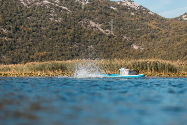 Ung Atletisk Man Hoppar Från Sup Stå Upp Paddla Ombord — Stockfoto