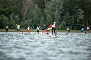 İnsanlar gölde SUP ile kürek çekiyor. SUP yarışması, yarış. muhteşem aktif açık hava eğlencesi.