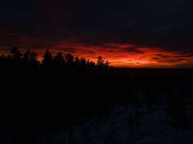 İnanılmaz kırmızı günbatımı ağaçların tepelerinde siyah bir zemin üzerinde