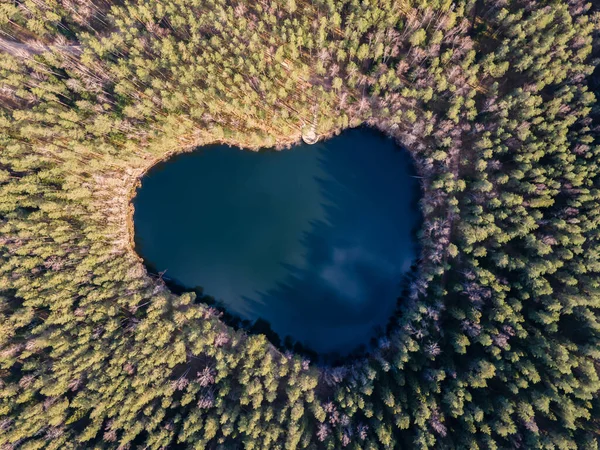 Velnezers Lake From drone. The small lake with its clear green-blue water in the middle of a bilberry forest