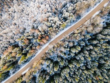 Donmuş kış ormanı ve kumlu kır yolunun insansız hava aracı görüntüsü