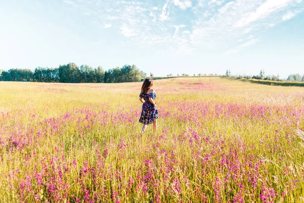 A young woman in a beautiful flower field, in a summer dress