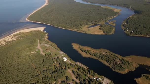 Luchtbeelden Van Drone Die Dennenbos Aan Zee Vliegt Lielupe Rivier — Stockvideo