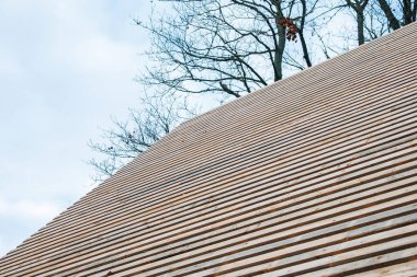 Eşit aralıklarla ahşap çıtalarla kaplı keskin açılı bir çatı çerçeveyi doldurur. Tepenin ötesinde az yapraklı dallar serin gün ışığında minimalist ve sessiz bir şekilde yükselir..