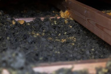 Düşük açı açısı, tavan arasındaki kirişler arasındaki sarı parçalarla koyu gri boşluğu gösteriyor. Gündüz vakti yerleşim yerinin tavan arasında, dokuyu ve durumu vurguluyor..