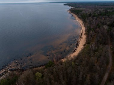 Hava görüntüsü uzun kıvrımlı bir kumsal, kayalık gelgit ve alacakaranlıkta yapraksız bir orman gösteriyor. Koyu yosun bantları ve kayalar uzak ormanlık bir burnun yakınındaki sığlıkları işaret ediyor..