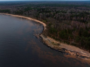 Hava görüntüsü, sonbaharın sonlarında bulutlu ışık altında çay tonları, dar kum, dağınık kaya parçaları ve karışık kozalaklı ağaç ve kozalaklı ağaçlarla dolu hilal şeklinde bir Baltık kıyısı gösteriyor..