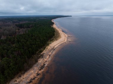 Kozalaklı kozalaklı kumlu kıyı şeridi havadan görünüyor. Kayalar, bulutlu ışığın altındaki dalgaları çiziyor. Kumsal ve ağaçlar, gözleri uzak bir ufka yönlendiriyor..