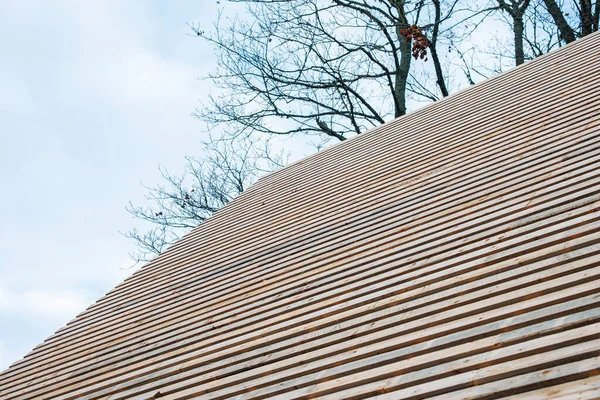 Eşit aralıklarla ahşap çıtalarla kaplı keskin açılı bir çatı çerçeveyi doldurur. Tepenin ötesinde az yapraklı dallar serin gün ışığında minimalist ve sessiz bir şekilde yükselir..