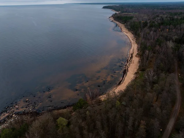 Hava görüntüsü uzun kıvrımlı bir kumsal, kayalık gelgit ve alacakaranlıkta yapraksız bir orman gösteriyor. Koyu yosun bantları ve kayalar uzak ormanlık bir burnun yakınındaki sığlıkları işaret ediyor..