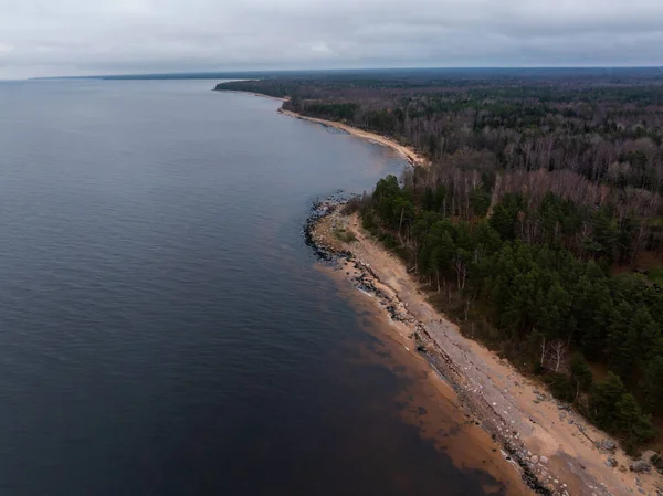 Kumlu şeritli, kayalıklı ve sakin, karanlık sulu bir kıyı şeridi. Kozalaklı ağaçlar ve yapraksız ağaçlar kıyı boyunca uzanır, bulutlu gündüz ışığı altında bir burunda bükülür..
