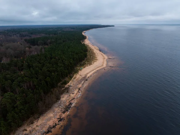 Kozalaklı kozalaklı kumlu kıyı şeridi havadan görünüyor. Kayalar, bulutlu ışığın altındaki dalgaları çiziyor. Kumsal ve ağaçlar, gözleri uzak bir ufka yönlendiriyor..