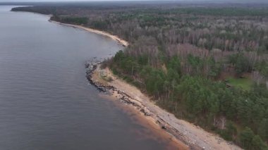Çam ve huş ağaçlarıyla, kayalarla, yalnız yürüyenlerle dolu Baltık kıyıları. Yavaş yan hareket, sonbaharın sonlarında kumlu kıyı, kaya kümeleri ve bulutlu ışığı gösteriyor..