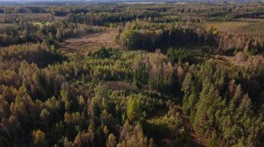 Hava görüntüsünde karışık kozalaklı ağaçlar ve huş ağaçları bataklık arazileri ve üç çiftlik evi görünüyor. Kamera sonbahar ışığında uzun gölgelerle ileri ve aşağı hareket eder.